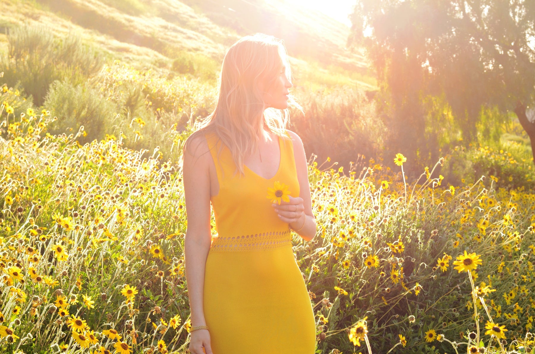 5 Herbal Remedies for PMS and Menstrual Cramps